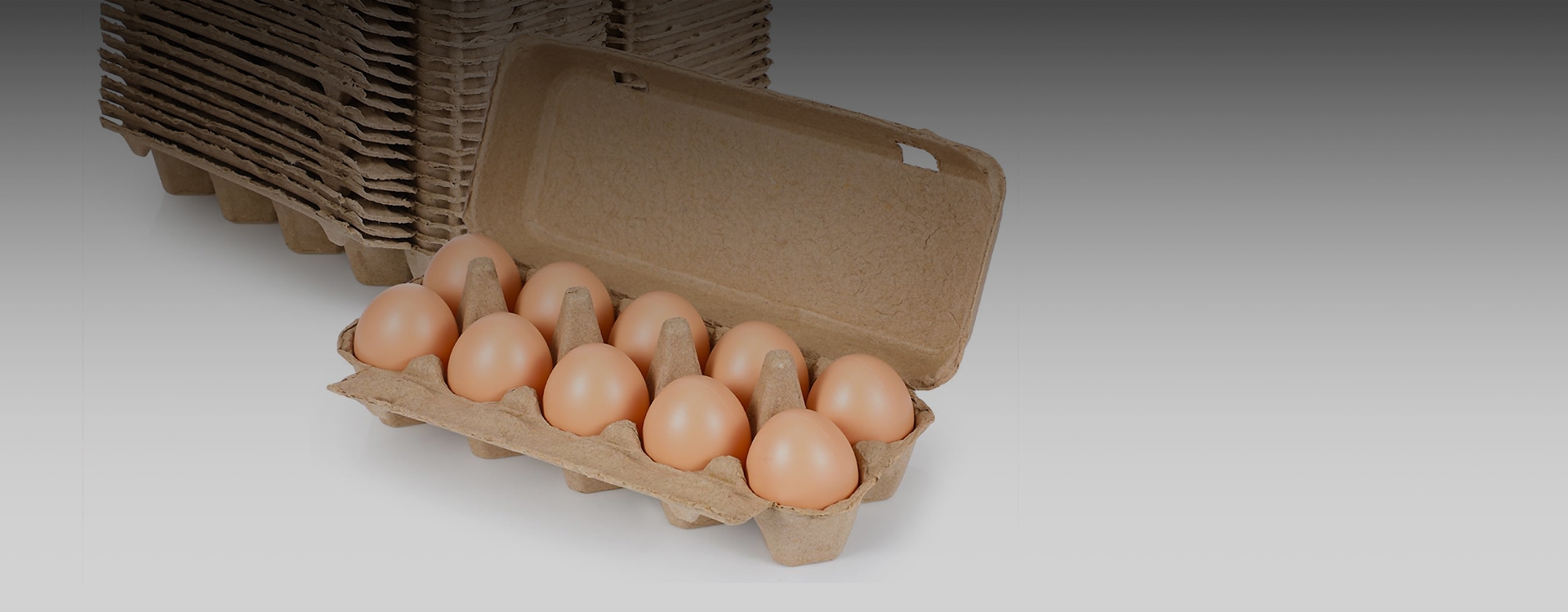 Paper Tray
