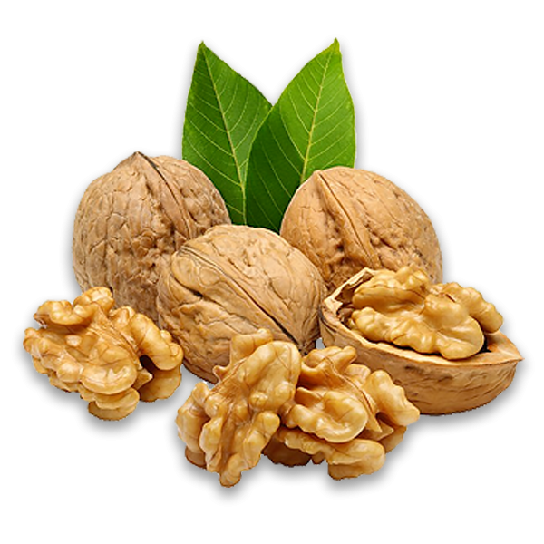 Nuts & Grains 