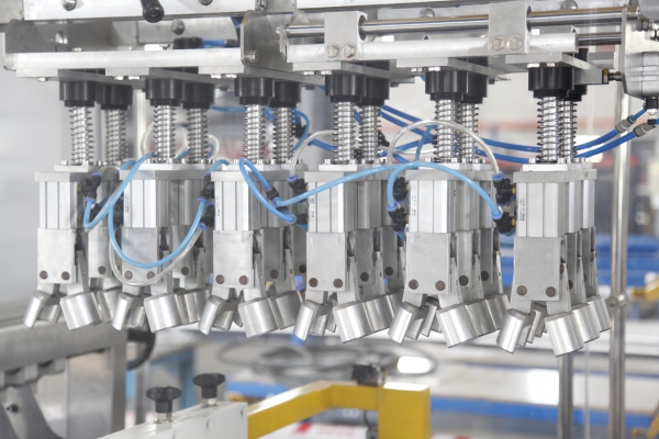 Top Loading Case-Packer